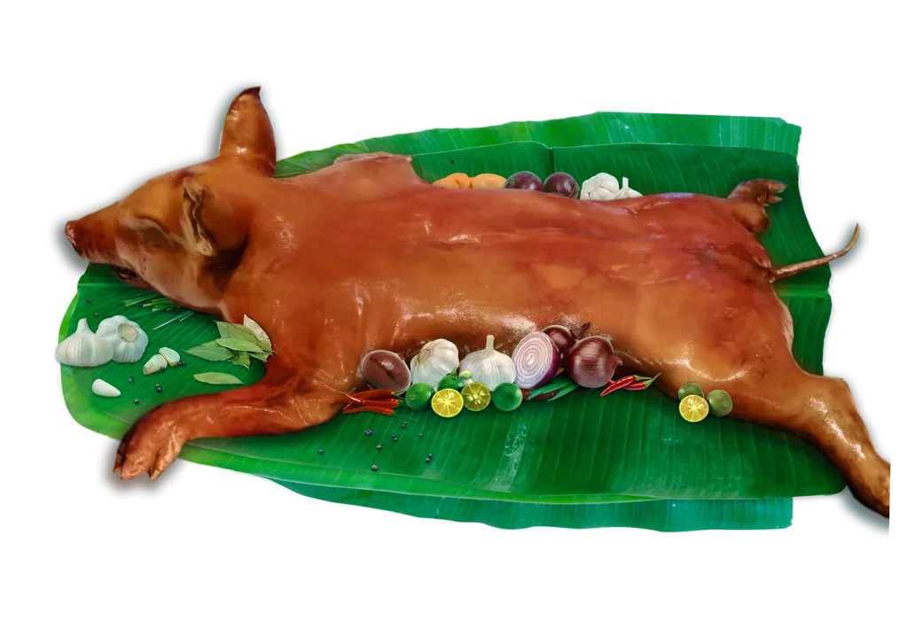 COCHINILLO-2-1024x710